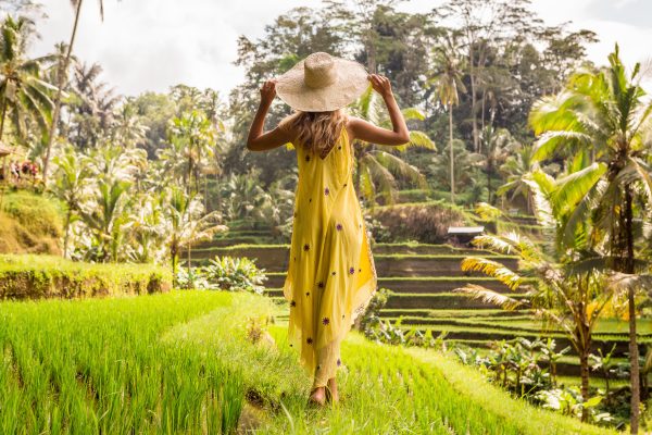 Rice Paddie Fields, Bali Attractions